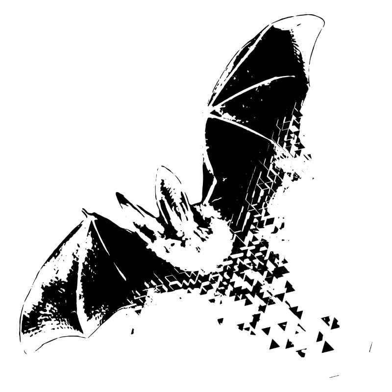 Fledermaus