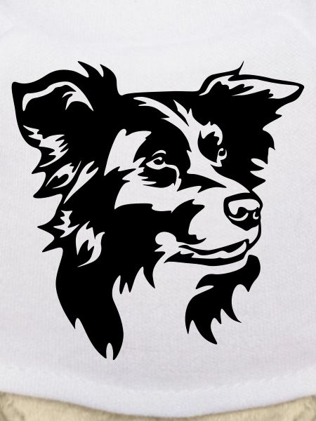 Border Collie Head