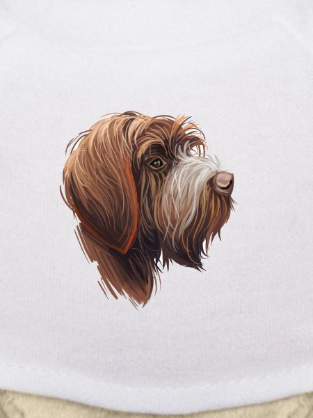 Drahthaar Pointing Griffon Dog Illustration