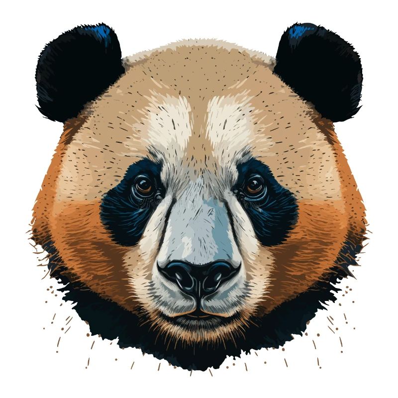 Panda du désert