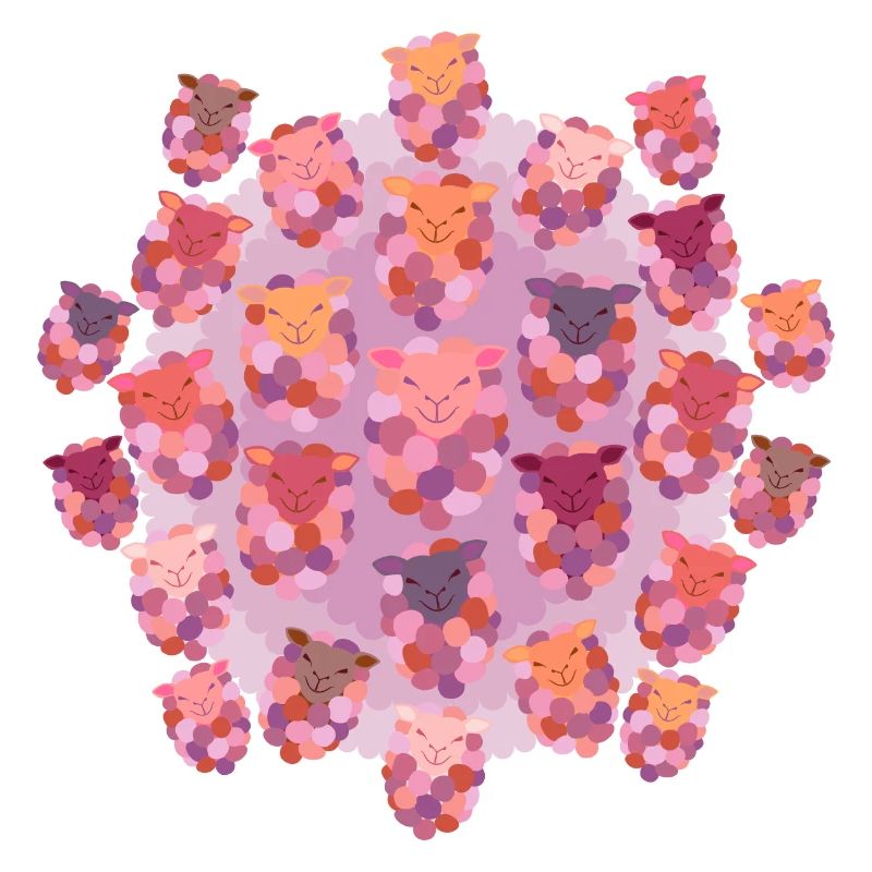 Schafe zählen Multi