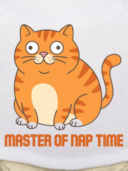 Master of Sleep Time Cat