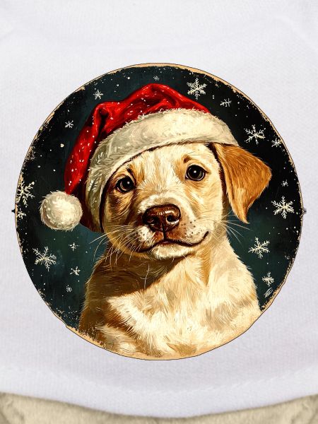 Border Collie Weihnachten
