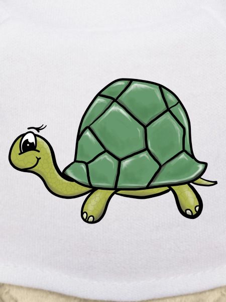 Turtles