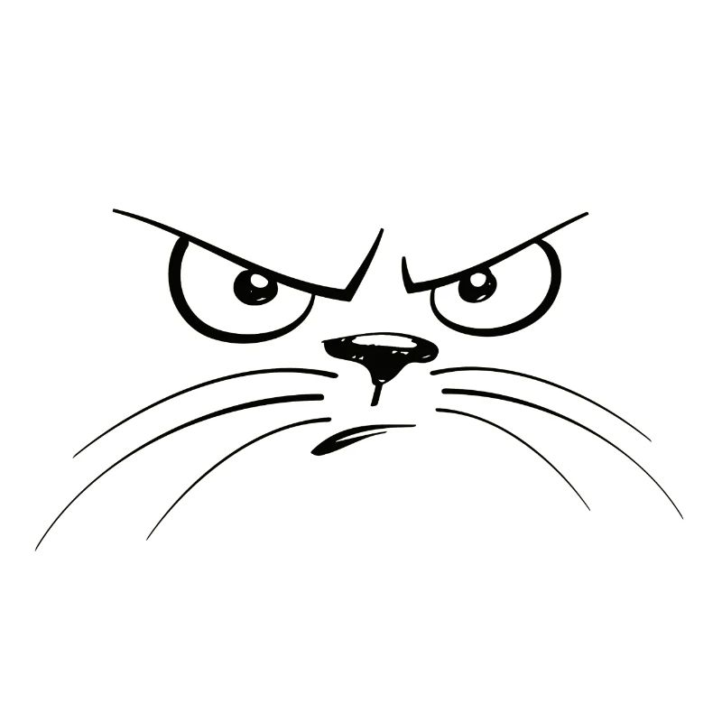 Mürrische Katze