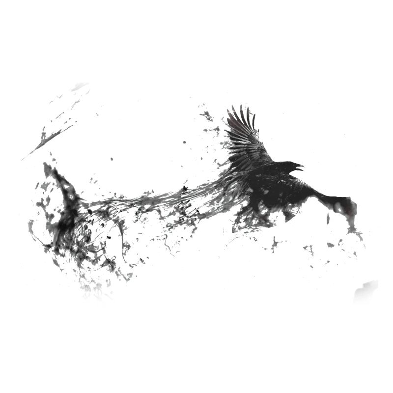 Conception Corvus Corbeau