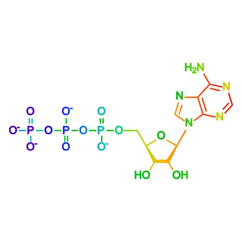 Adenosintriphosphat - ATP - Regenbogen