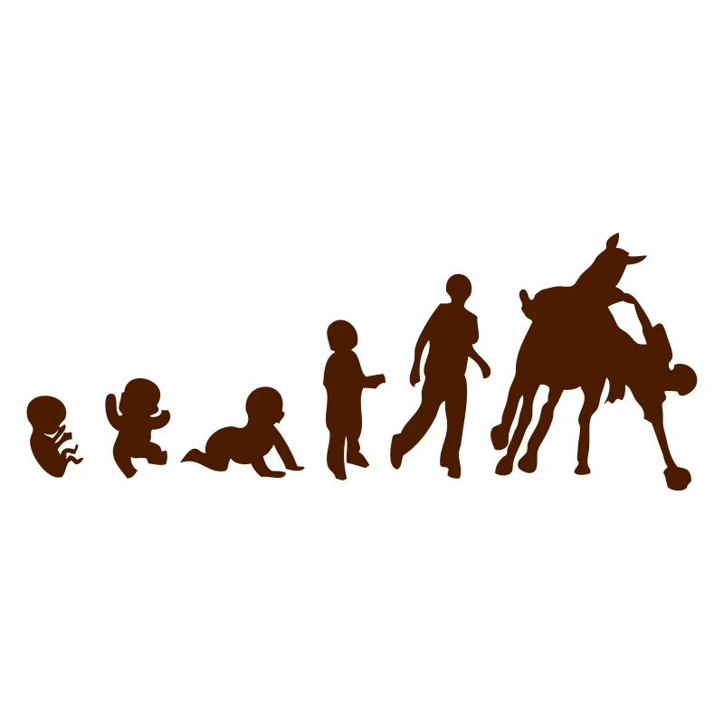 evolution horse ball cheval cavalier 1