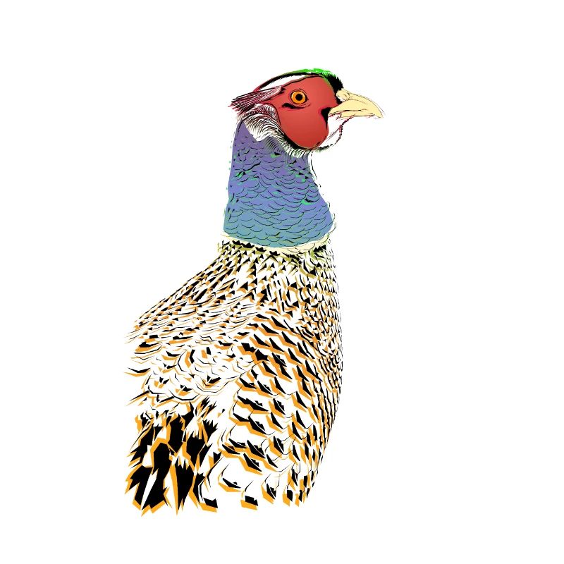 Phenominal Pheasant