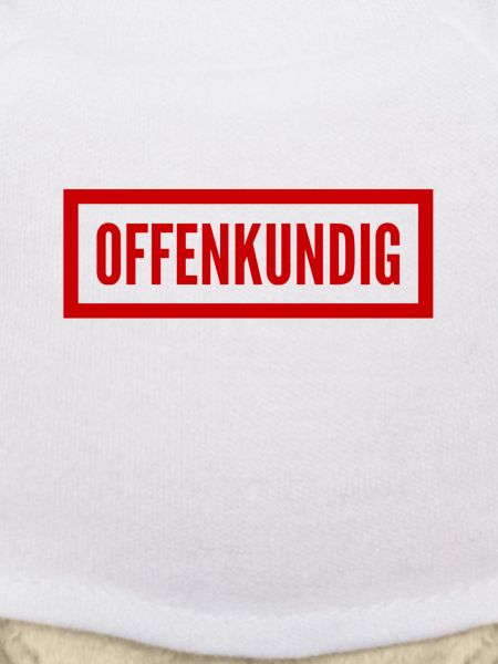 offenkundig