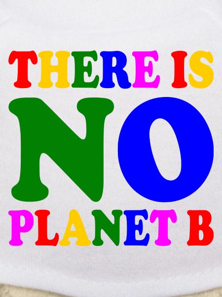 There is no planet b