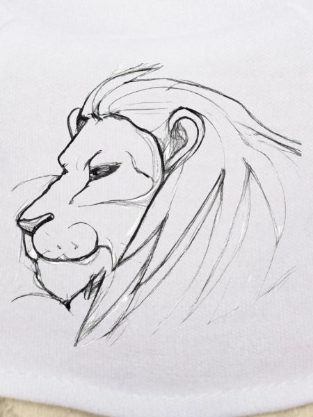 Lion drawing