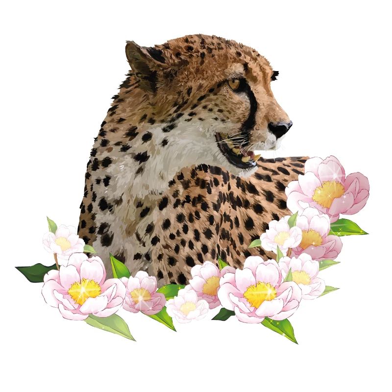 Guépard