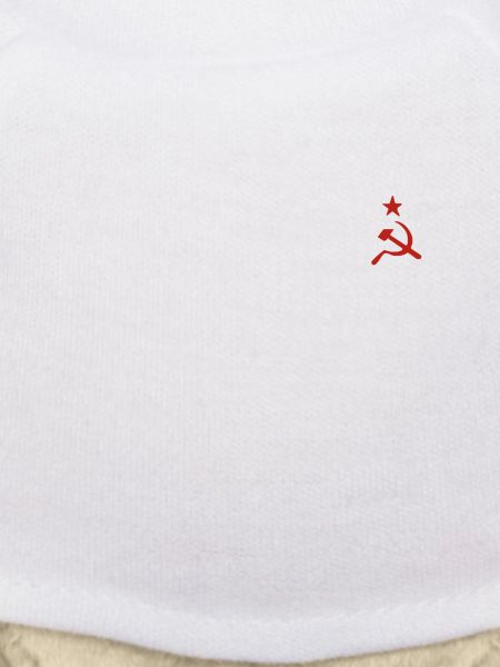 hammer and sickle