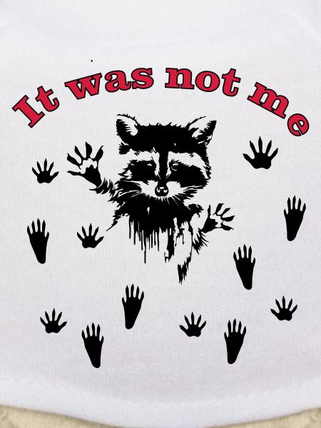 Racoon/Waschbär