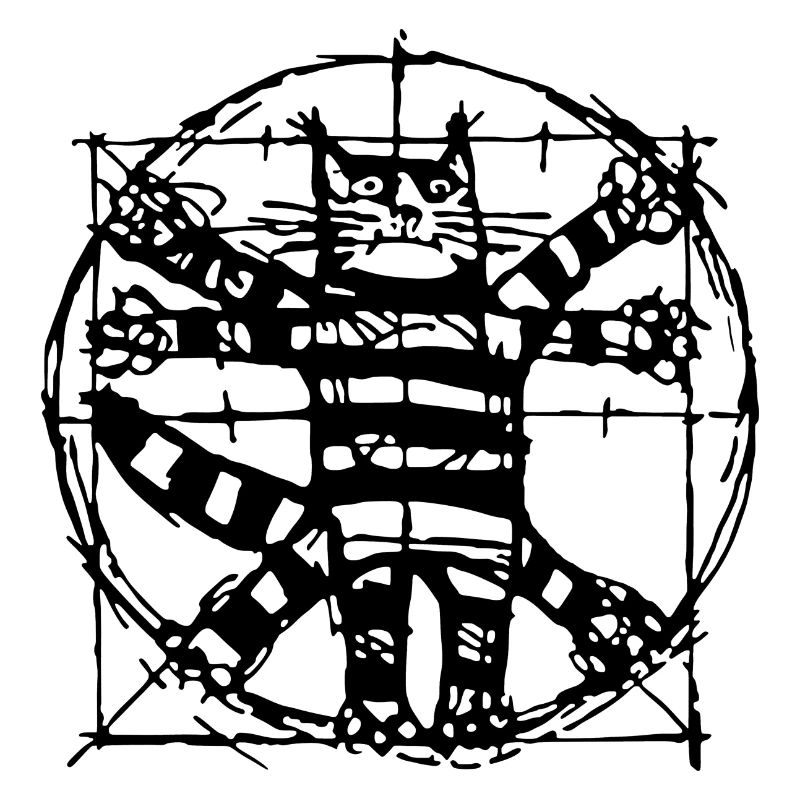 Vitruvian Cat - Funny kitty
