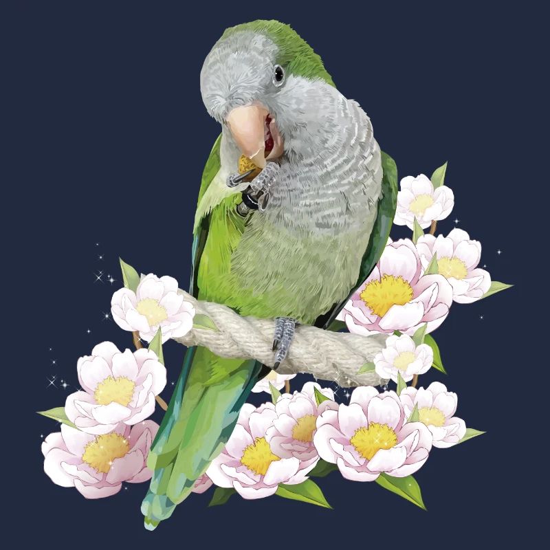 Perruche d’Argentine