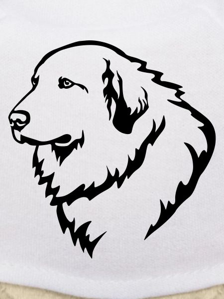 Pyrenean Mountain Dog Head