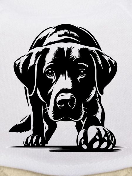Labrador