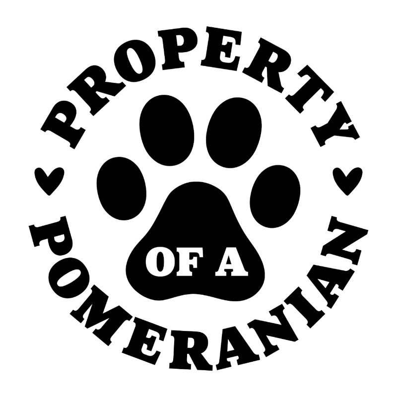 Eigentum eines Zwergspitzs