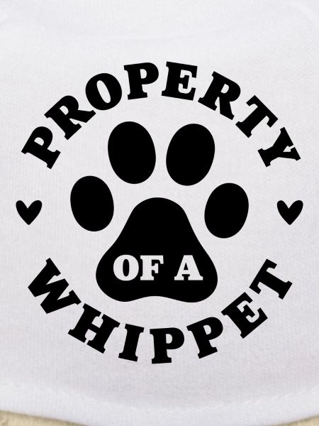 Eigentum eines Whippets