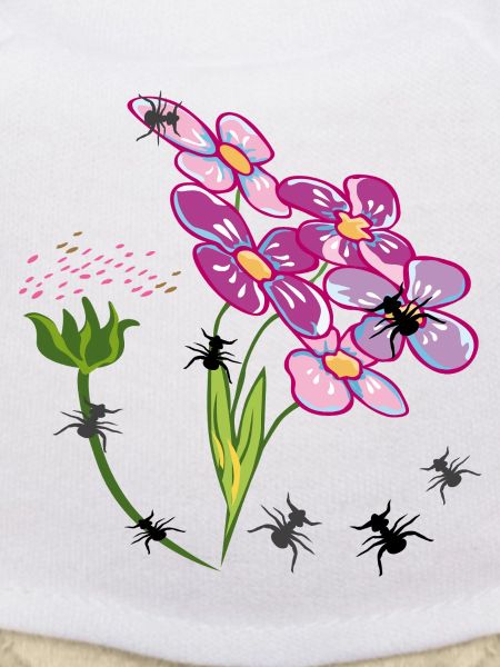 Flowers with ants insects