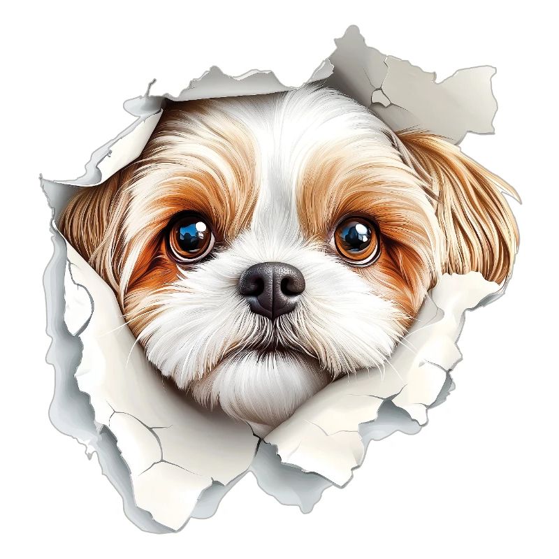 shih tzu
