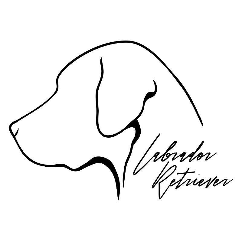 LABRADOR RETRIEVER Profil Hunde Wilsigns Labbi Lab