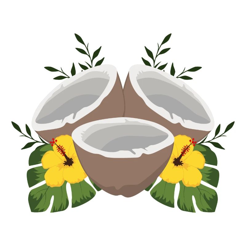 Noix de coco d'été