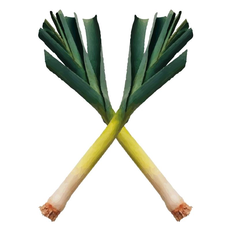 lauch design