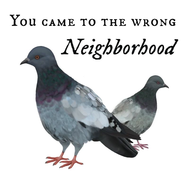 Pigeon dans le mauvais quartier