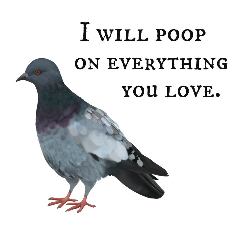 Taube - I will poop on everything