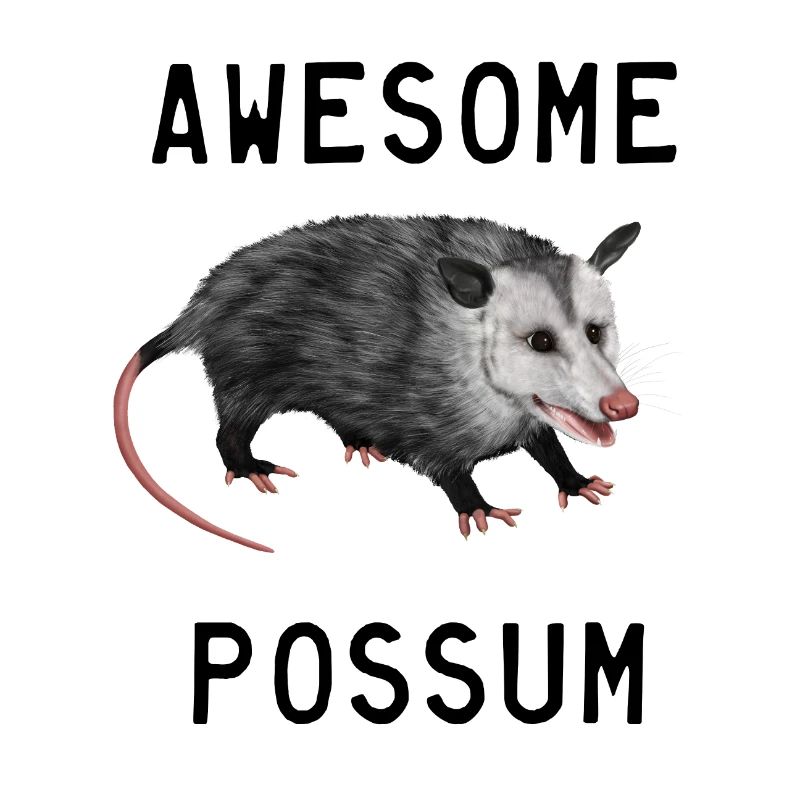 Opossum - Awesome Possum