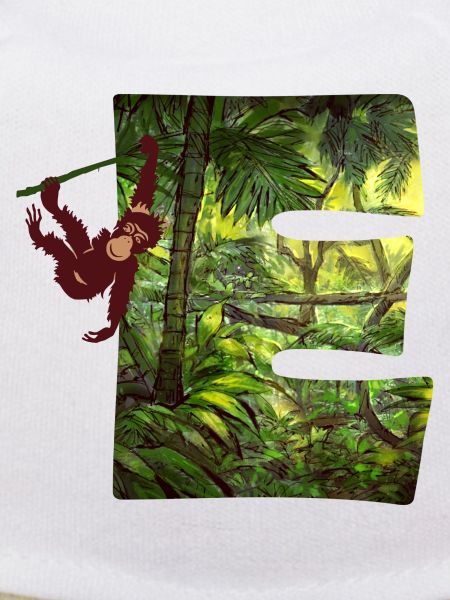 jungle avec affe e