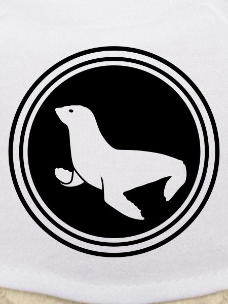 seal animal