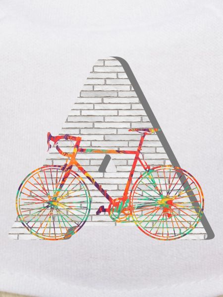 bicycle e 249 a