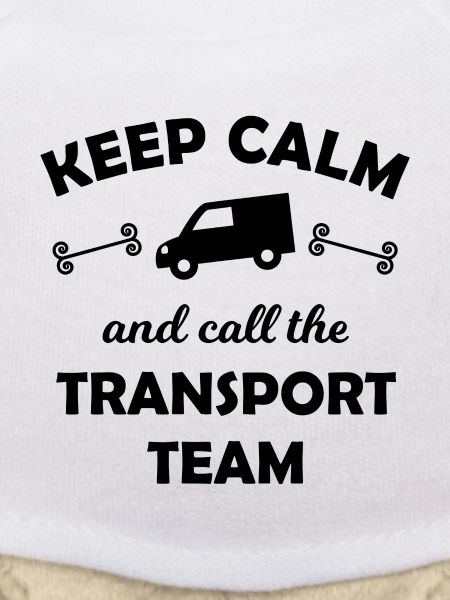 The Transport Team