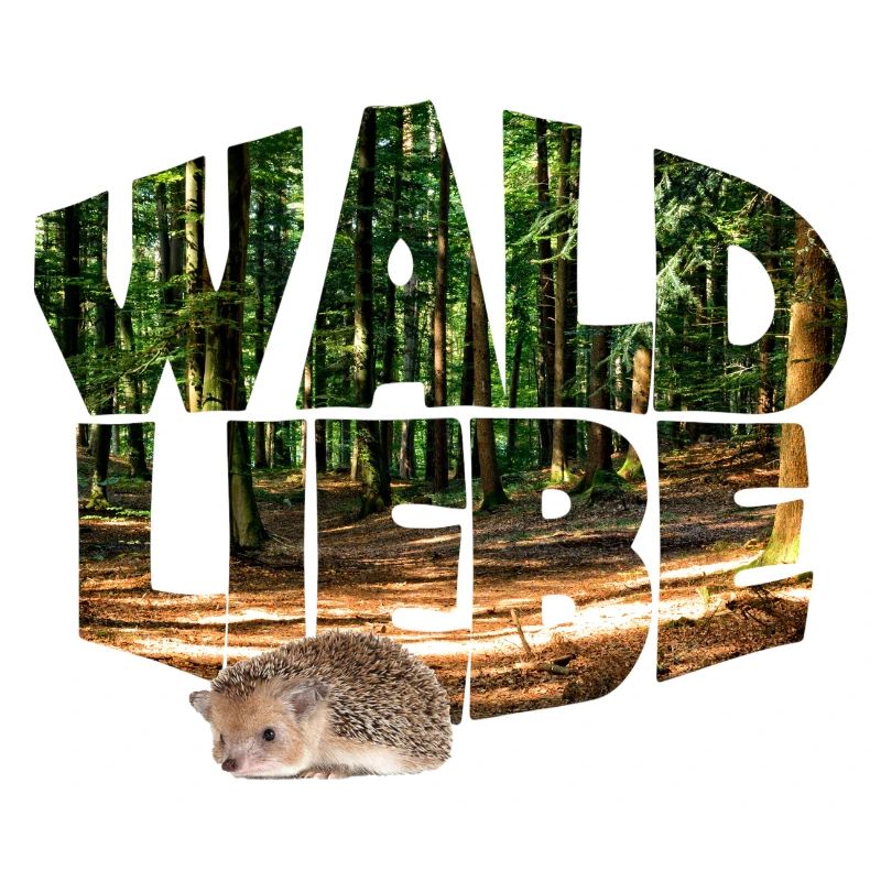 Forest 20 Amour de la forêt avec hérisson