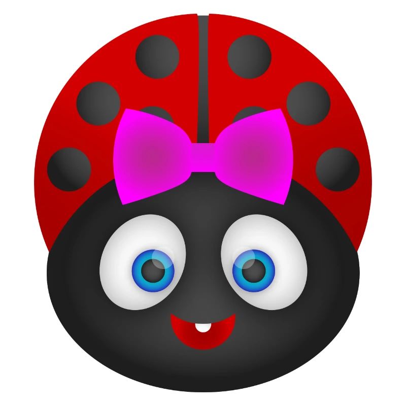 Marienkäfer - Ladybug ! Geschenk Idee !