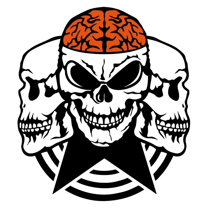 skull face profile brain brain