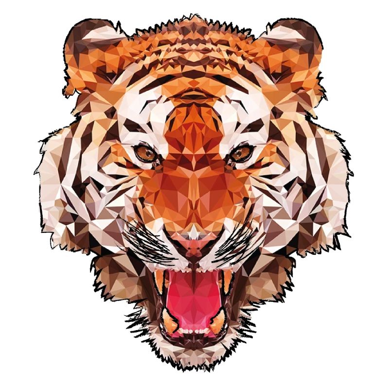 Conception de polygone de tigre