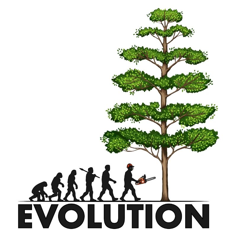 Tronçonneuse Evolution Grey Big Tree