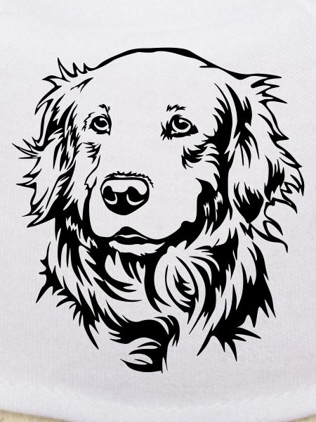 Golden Retriever Head