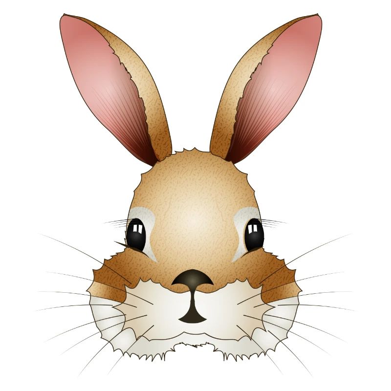 Hand-drawn rabbit head