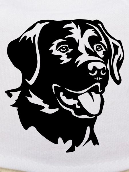 Labrador Head