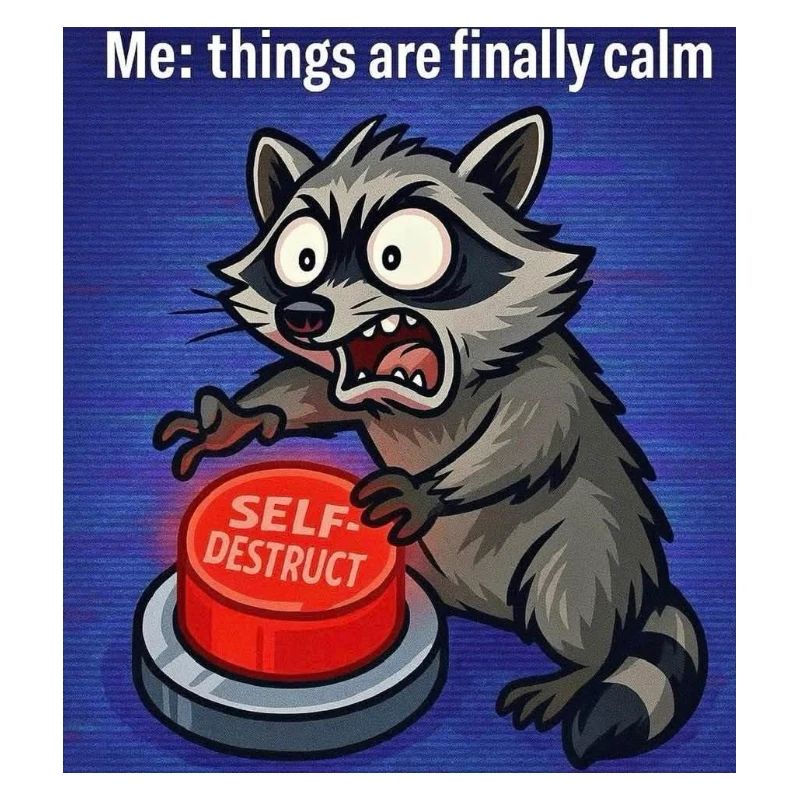 Waschbär-Selbstzerstörungs-Meme