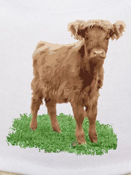 Praline the heifer