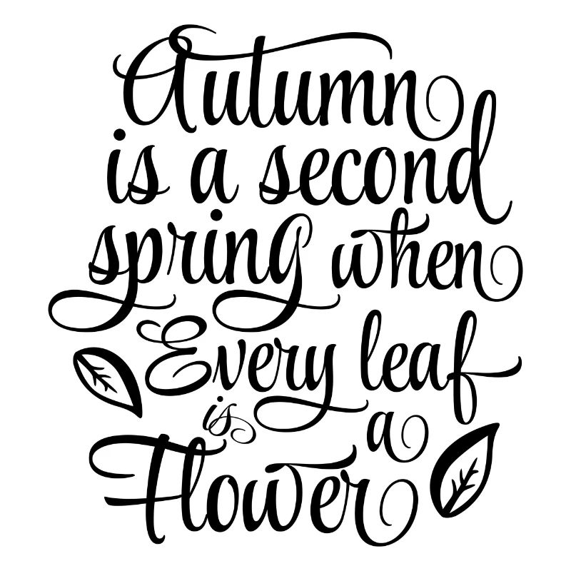 Autumn Fall Leaf Gift