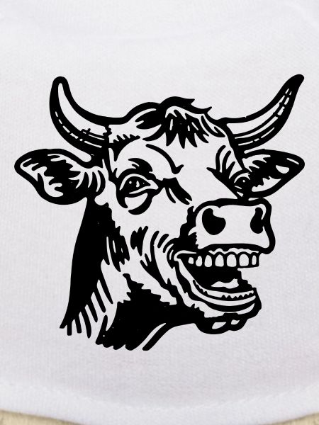 Vache Vaches