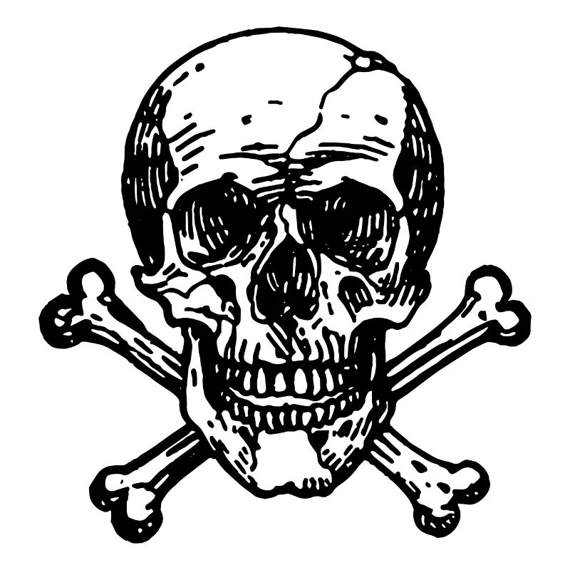 Skull Pirate